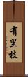 有里枝 Scroll