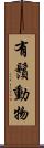 有鬚動物 Scroll