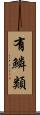 有鱗類 Scroll