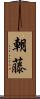 朝藤 Scroll