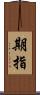 期指 Scroll