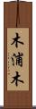 木浦木 Scroll