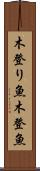 木登り魚 Scroll
