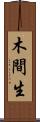 木間生 Scroll