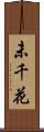 未千花 Scroll