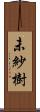 未紗樹 Scroll