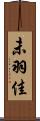未羽佳 Scroll