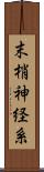 末梢神経系 Scroll