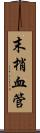 末梢血管 Scroll