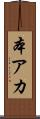 本アカ Scroll