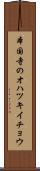 本国寺のオハツキイチョウ Scroll