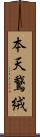 本天鵞絨 Scroll