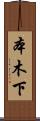 本木下 Scroll