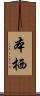 本栖 Scroll
