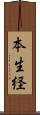 本生経 Scroll