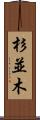 杉並木 Scroll