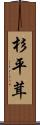 杉平茸 Scroll