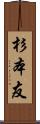 杉本友 Scroll