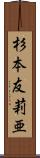 杉本友莉亜 Scroll