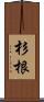 杉根 Scroll