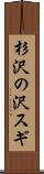 杉沢の沢スギ Scroll