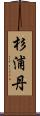 杉浦丹 Scroll