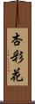 杏彩花 Scroll