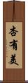 杏有美 Scroll