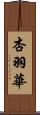 杏羽華 Scroll