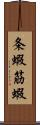 条蝦 Scroll