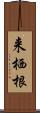 来栖根 Scroll