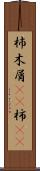杮 Scroll