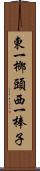 東一榔頭西一棒子 Scroll