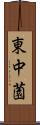 東中薗 Scroll