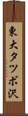 東大タツボ沢 Scroll