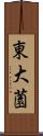 東大薗 Scroll