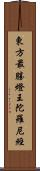 東方最勝燈王陀羅尼經 Scroll