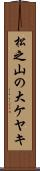 松之山の大ケヤキ Scroll