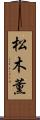 松木薫 Scroll