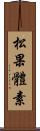 松果體素 Scroll