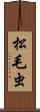 松毛虫 Scroll