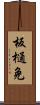 板樋免 Scroll