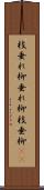 枝垂れ柳 Scroll