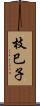 枝巳子 Scroll