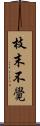 枝末不覺 Scroll