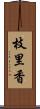 枝里香 Scroll