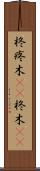 柊 Scroll