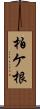 柏ケ根 Scroll