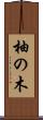 柚の木 Scroll