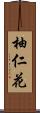 柚仁花 Scroll